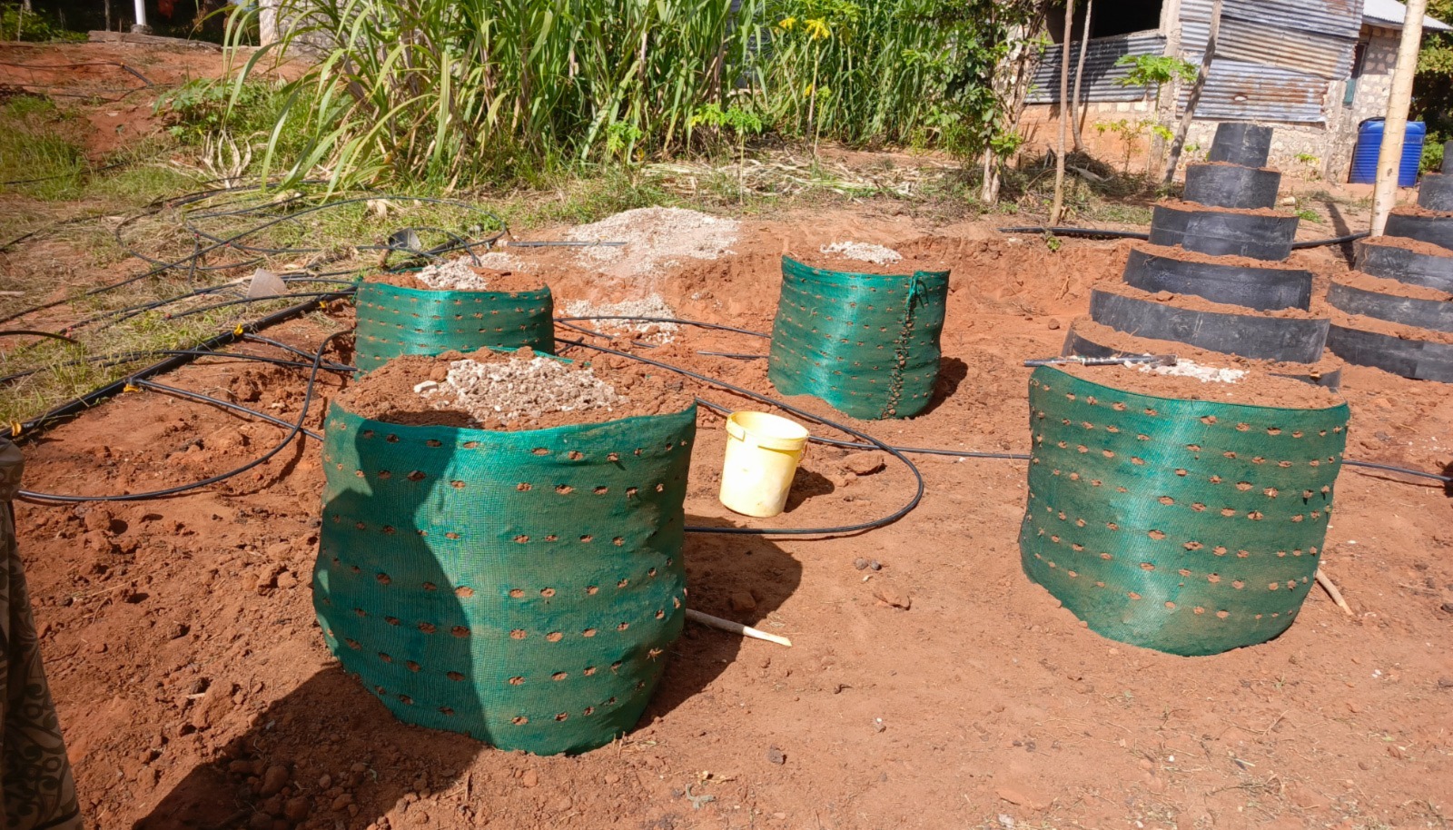 Vertical grow bags